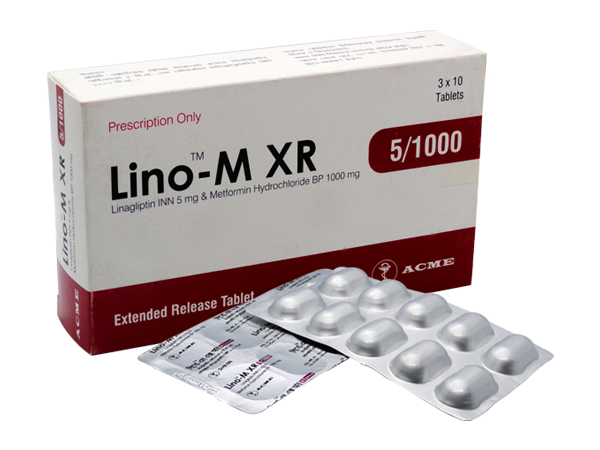 Lino M XR